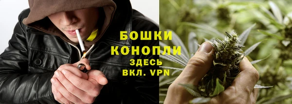 дурь Нефтекумск