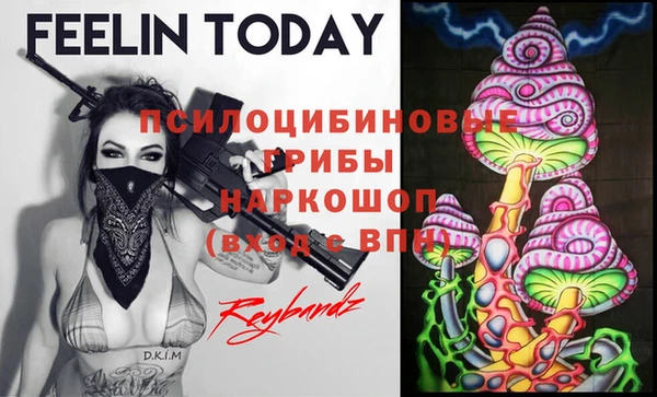 а пвп мука Нея
