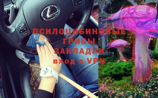 а пвп мука Нея