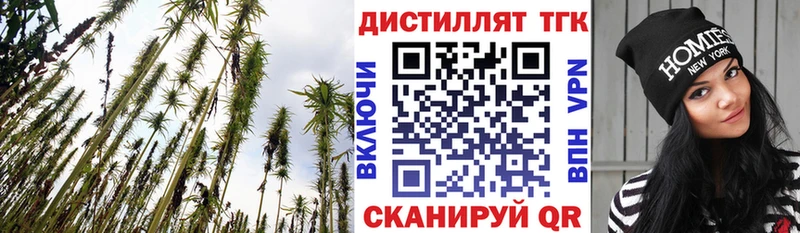 наркота  Киренск  ТГК концентрат 